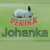 Johanka