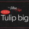 Tulip Big