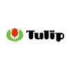 Tulip (JP)