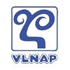 Vlnap