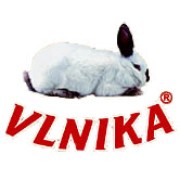 Vlnika