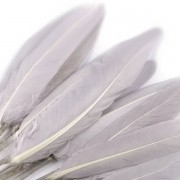 Kachní peří, délka 9-14 cm, šedá světlá